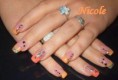 /album/fotogaleria/livka-orange-jpg/